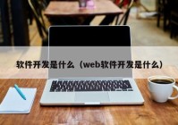 软件开发是什么（web软件开发是什么）