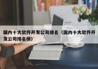 国内十大软件开发公司排名（国内十大软件开发公司排名榜）