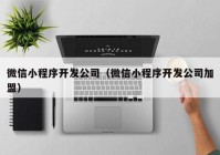 微信小程序开发公司（微信小程序开发公司加盟）