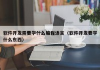 软件开发需要学什么编程语言（软件开发要学什么东西）