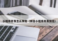 小程序开发怎么预览（微信小程序开发预览）