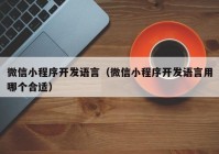 微信小程序开发语言（微信小程序开发语言用哪个合适）