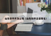 山东软件开发公司（山东软件企业排名）