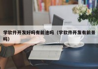 学软件开发好吗有前途吗（学软件开发有前景吗）